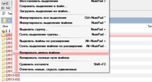 Можно ли хранить пароли в текстовом файле